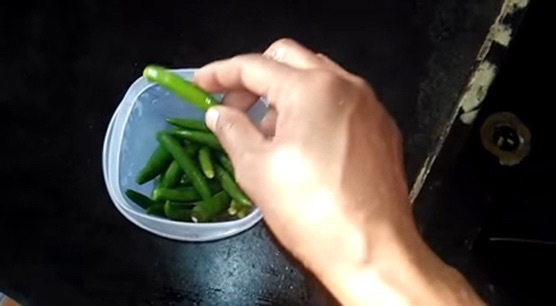 预训练语料样本：海量第一/第三视角人类活动视频（如徒手把辣椒放进碗）