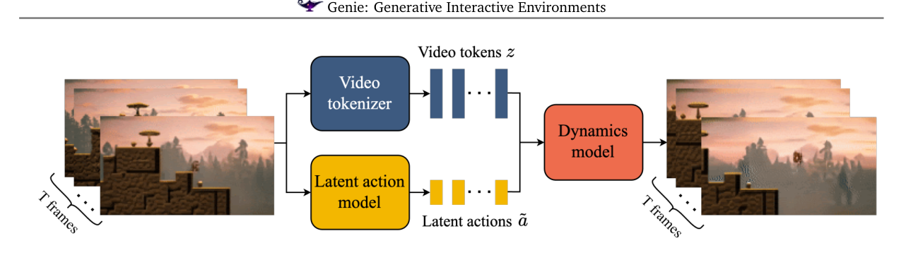 图3 Genie 训练总览:T 帧视频 → 视频 tokenizer 出离散 token z + 潜动作模型出 latent action ã → 一起喂动力学模型自回归预测下一帧